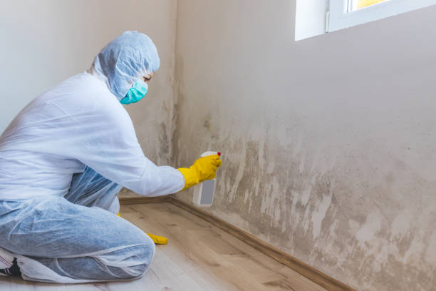 Crawl Space Mold Removal in Jasper, IN
